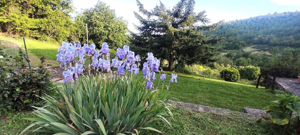 Casa Titina Riposo e Relax nella campagna toscana Apartment in Emilia-Romagna