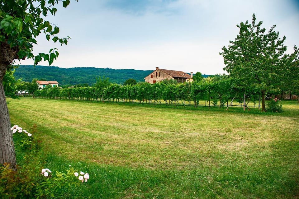 Casa Dal Zotto Bed and Breakfast in Trentino-South Tyrol