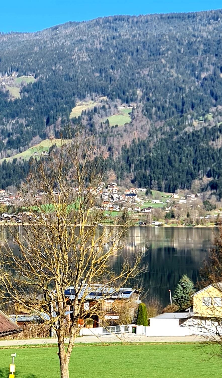 Lake view
