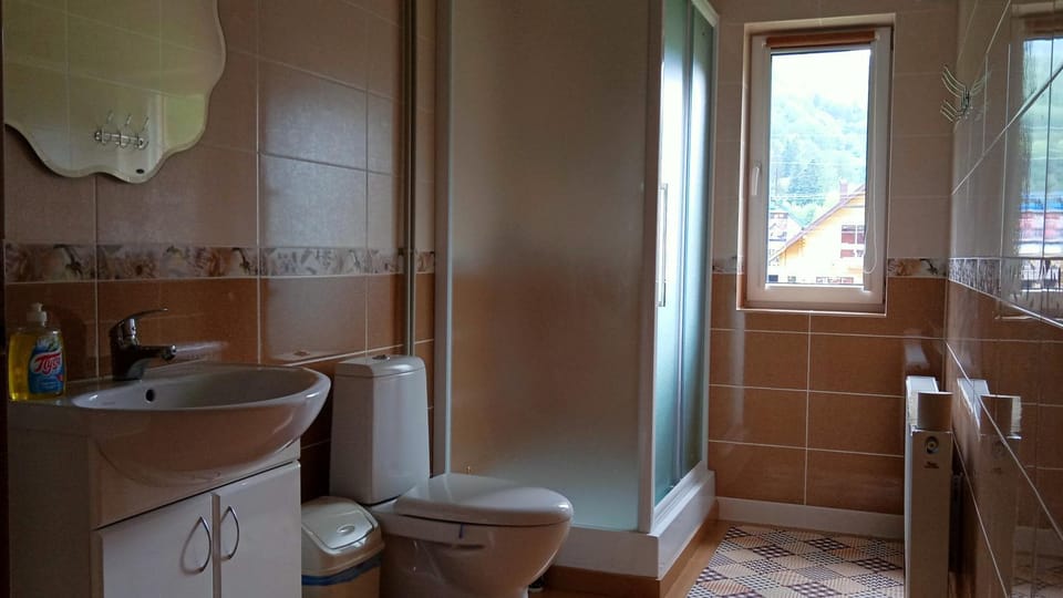 Shower, Toilet