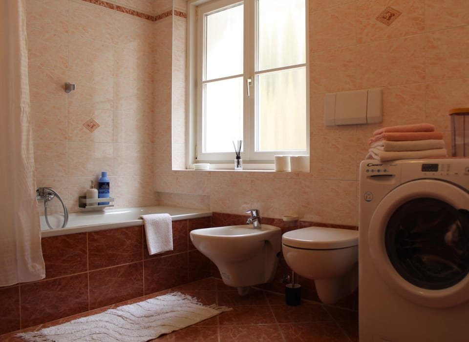 Toilet, Bathroom, bidet, towels, washing machine