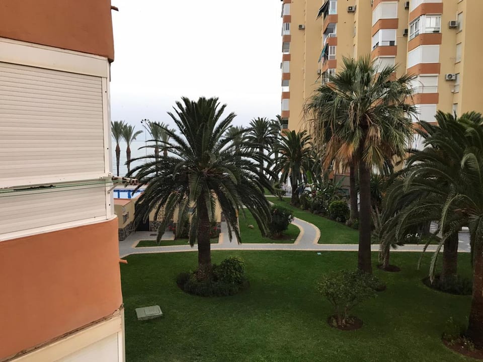 Garden, Balcony/Terrace, Garden view