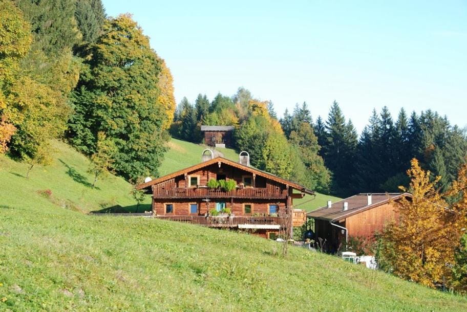 Property building, Neighbourhood, Garden