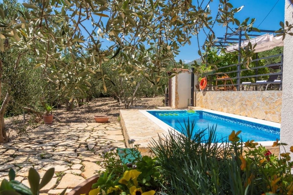 Garden, Garden view, Pool view, Swimming pool
