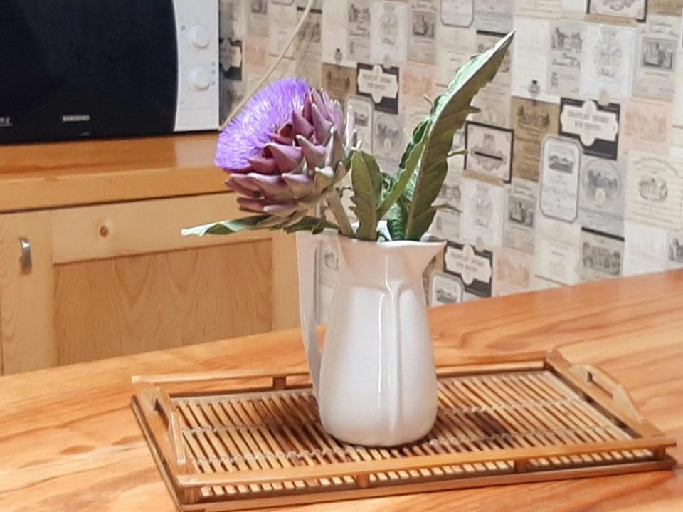 Casa da mestre House in Galicia