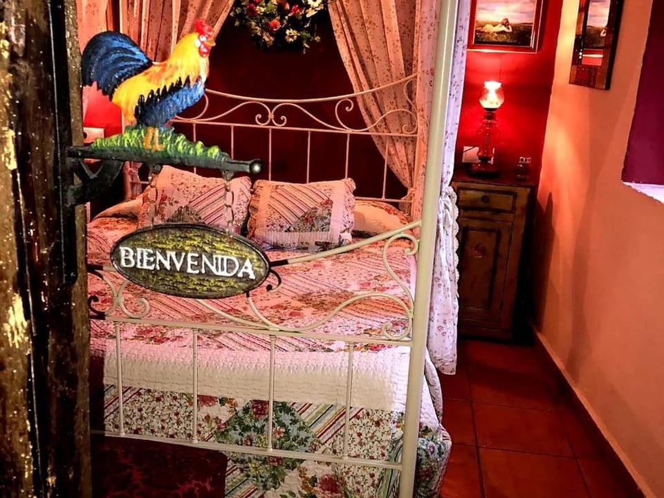 Bed, Animals, Bedroom, Pets
