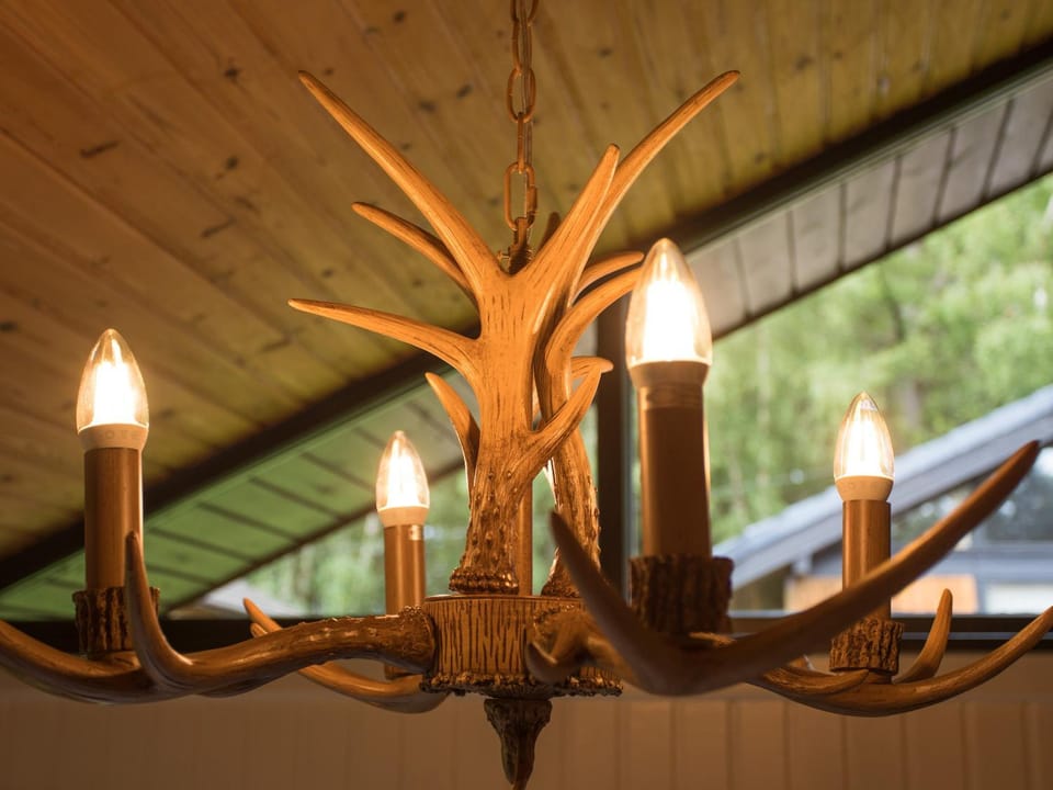 Pine Tree House in England