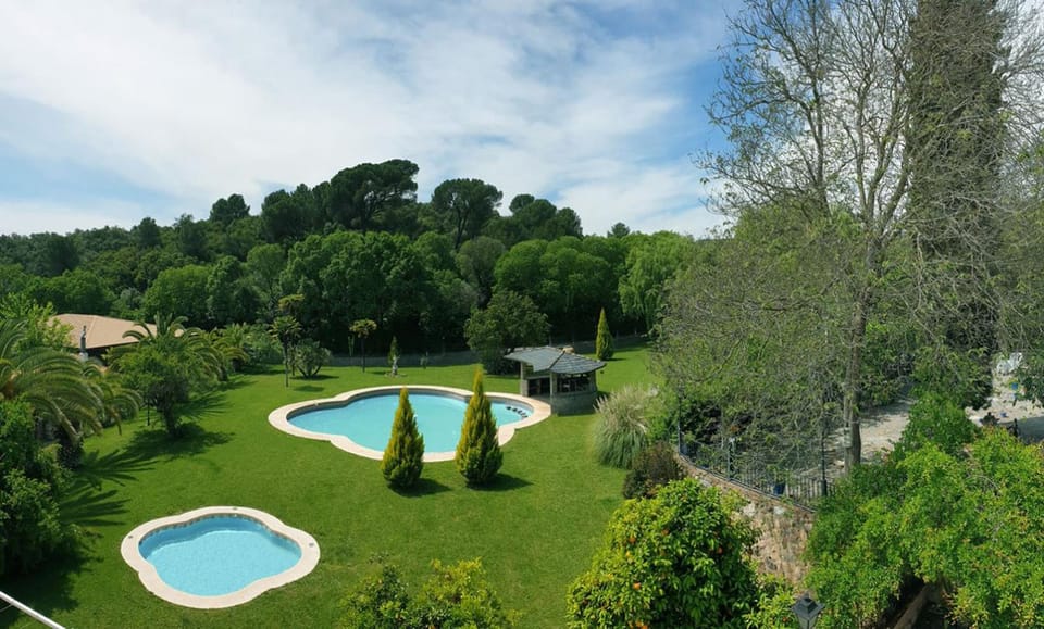 Garden, Garden view, Pool view, Swimming pool, Swimming pool