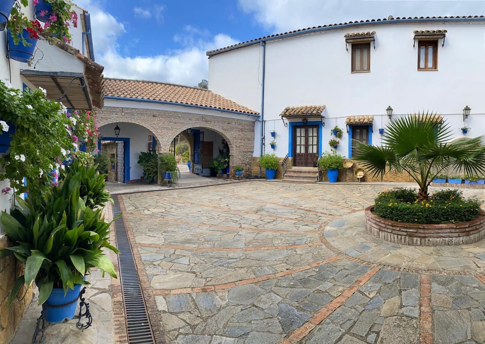Property building, Patio, Day, Inner courtyard view