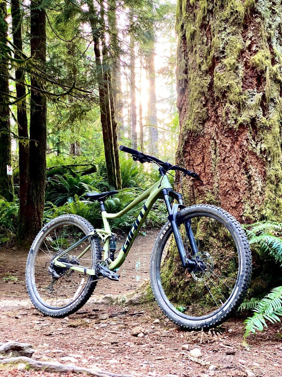Activities, Cycling