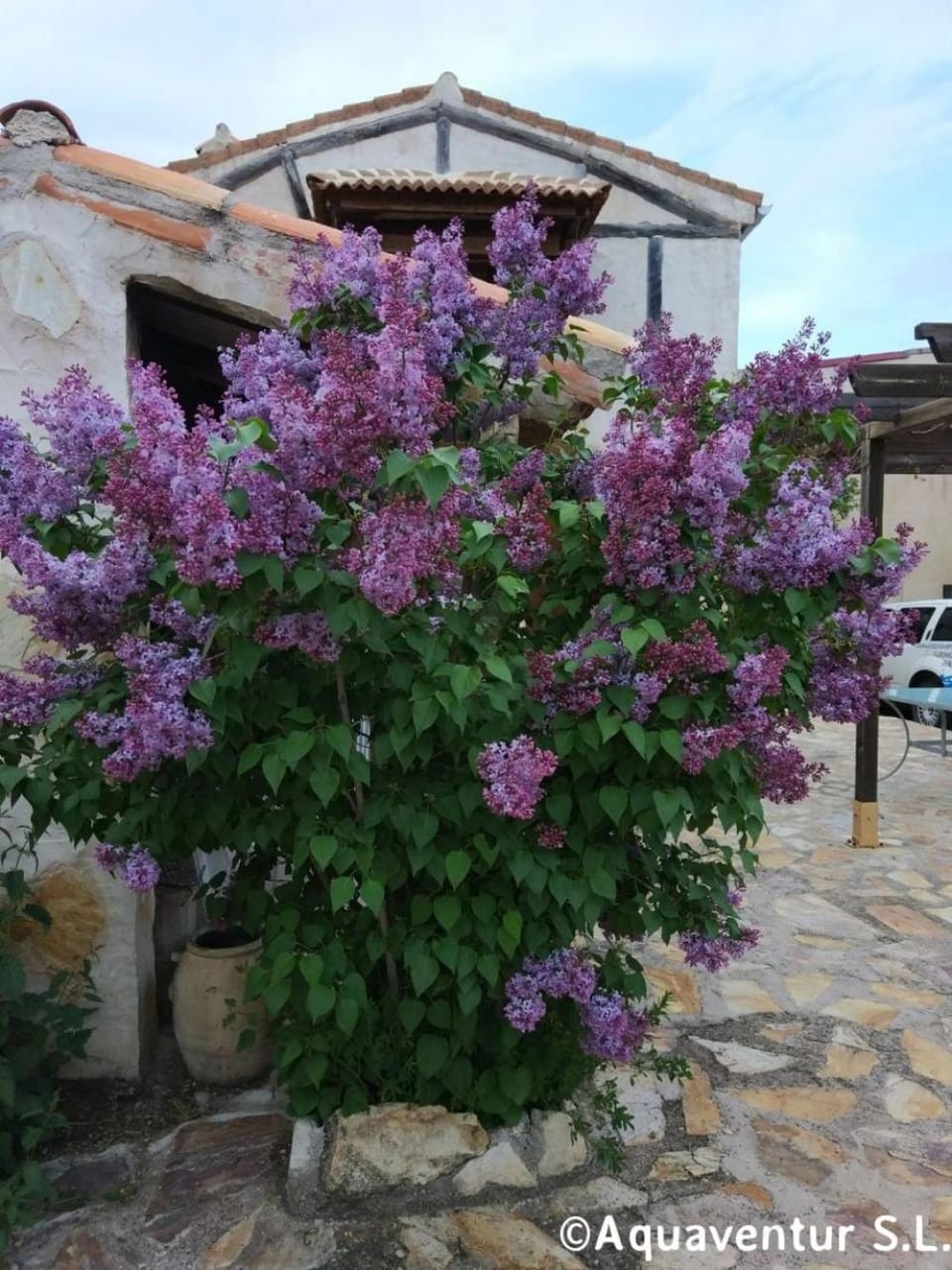 Spring, Garden view