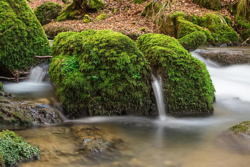 Landgasthof Hieren Mühle Bed and Breakfast in Boppard
