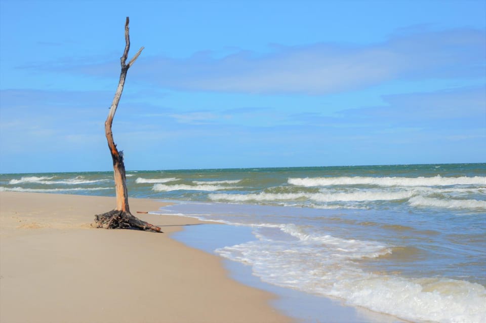 Activities, Beach