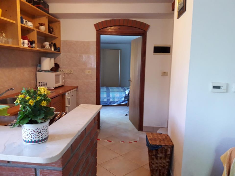 bellavista appartment Apartment in Piran