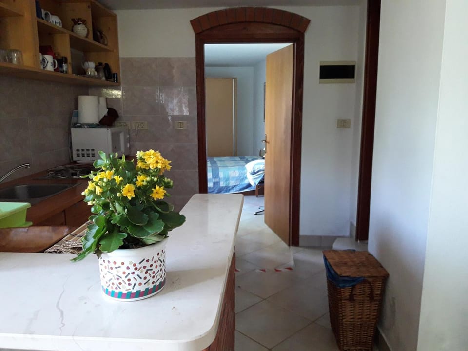 bellavista appartment Apartment in Piran