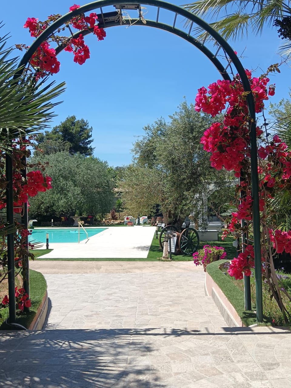 Garden, Swimming pool