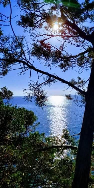 House on Punta House in Dubrovnik-Neretva County