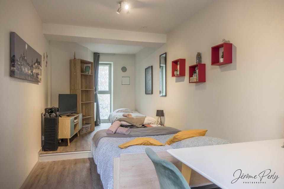 Petit studio hypercentre d'Orléans avec jardin Apartment in Orléans