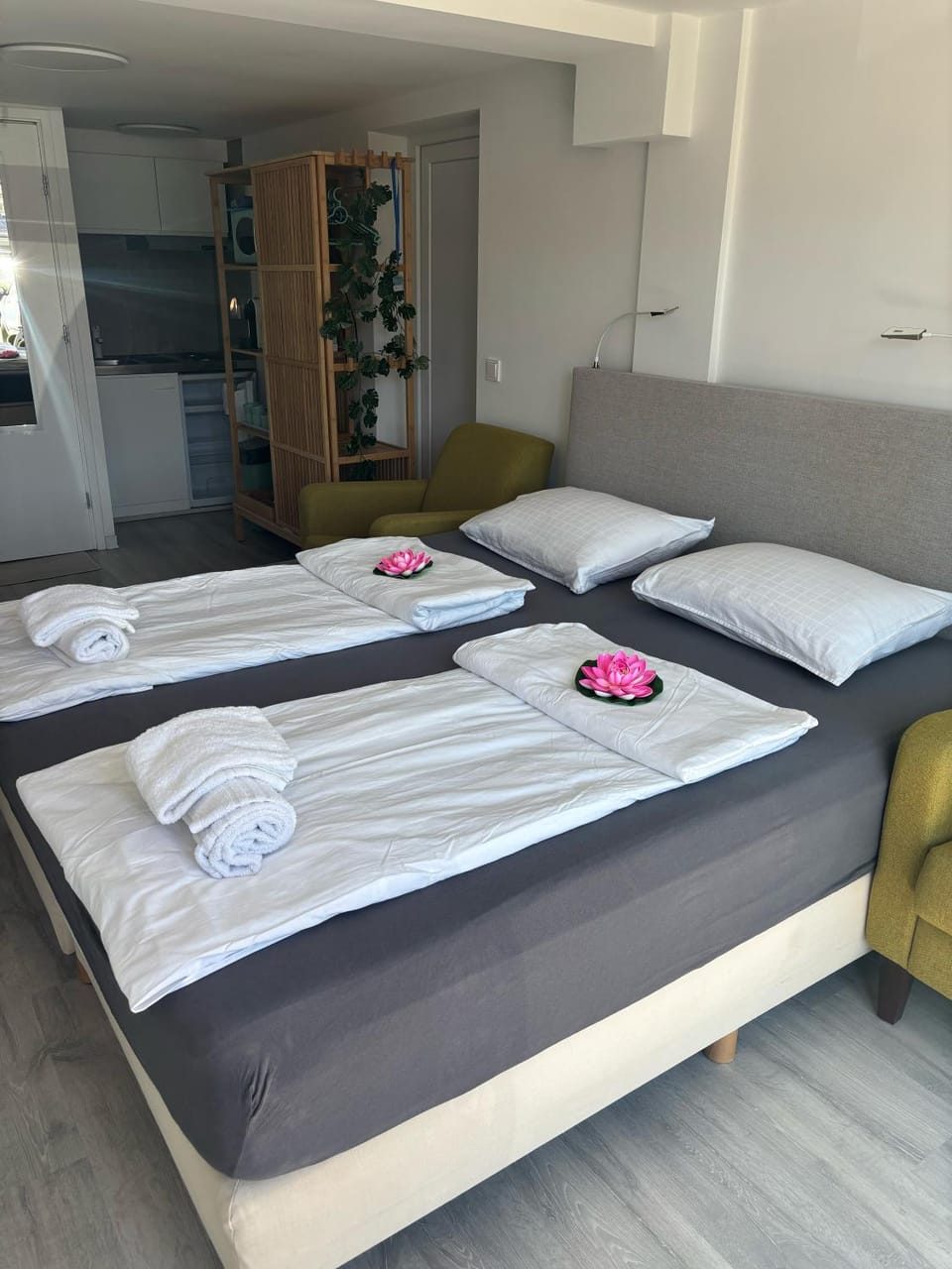 Bed