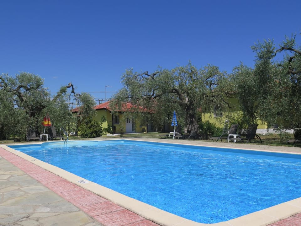 Swimming pool, Swimming pool