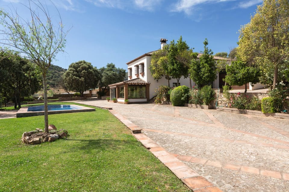 Garden view