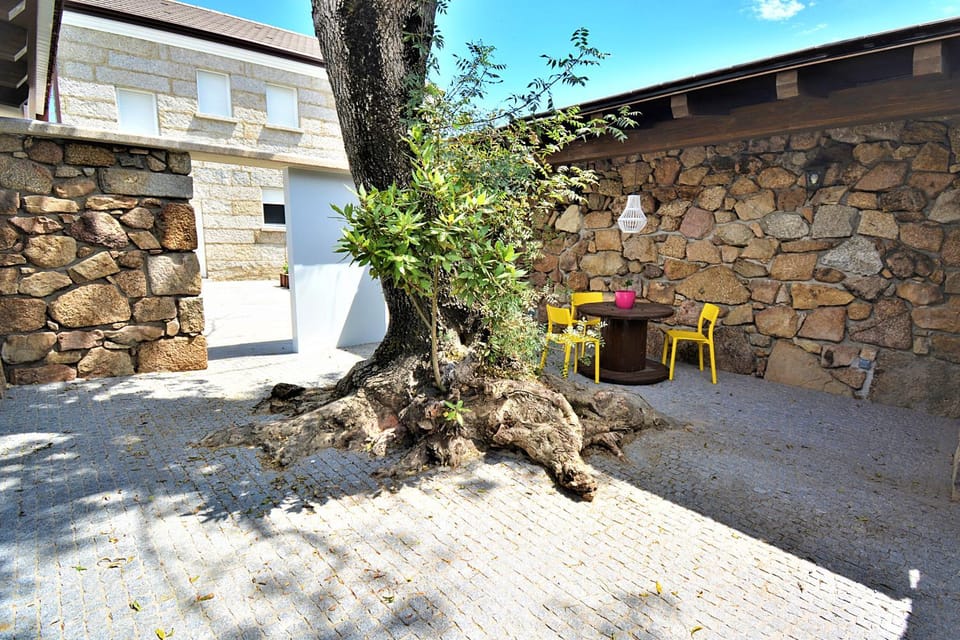 Patio, Day