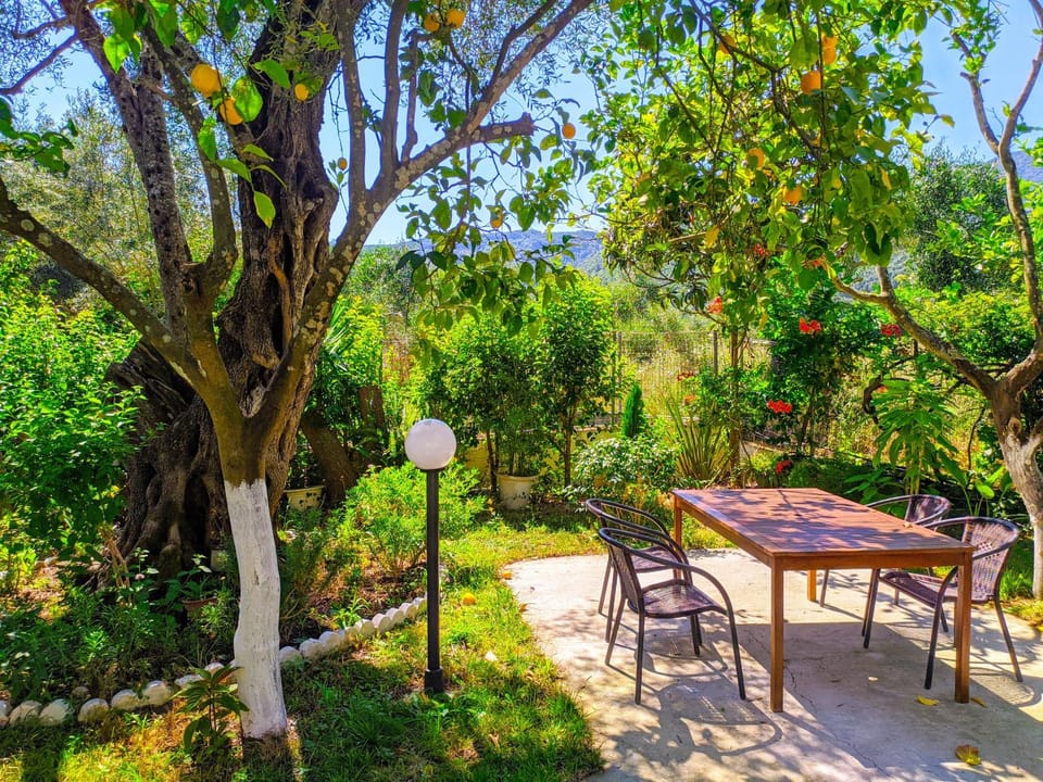 Property building, Garden