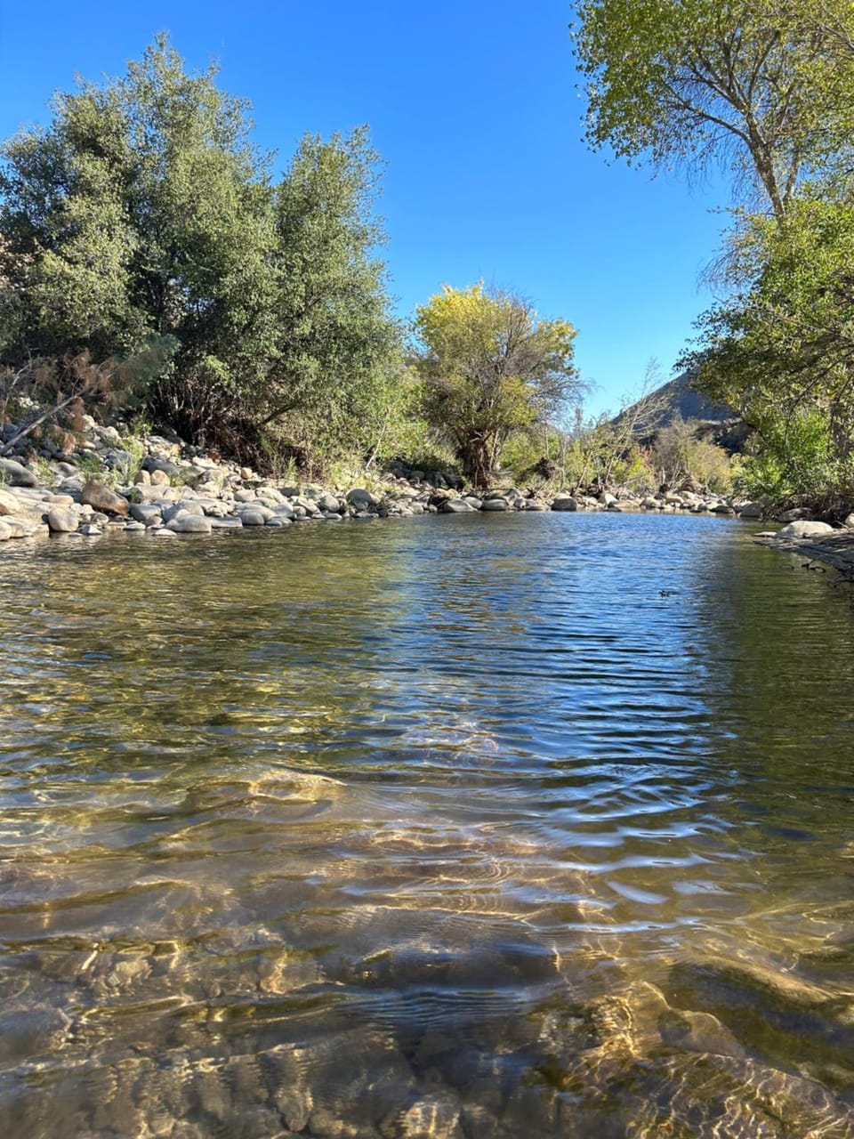 SoCal Camping Nature lodge in Sierra Nevada