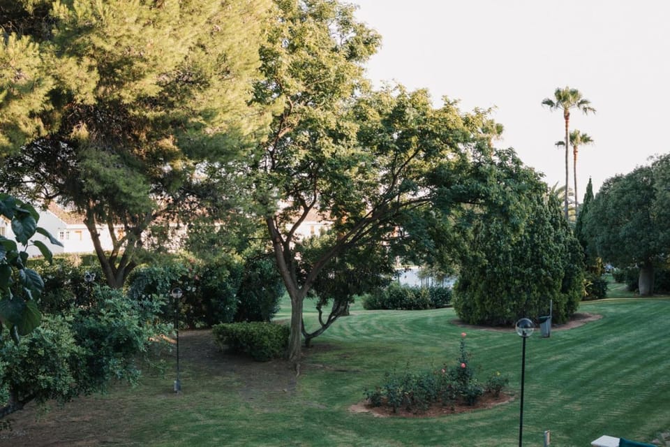 Garden view