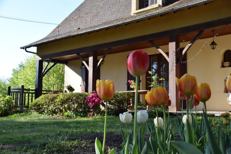 Property building, Spring, Day, Garden