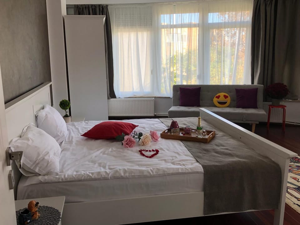 Pensiunea Pont-Euxin Bed and Breakfast in Constanta