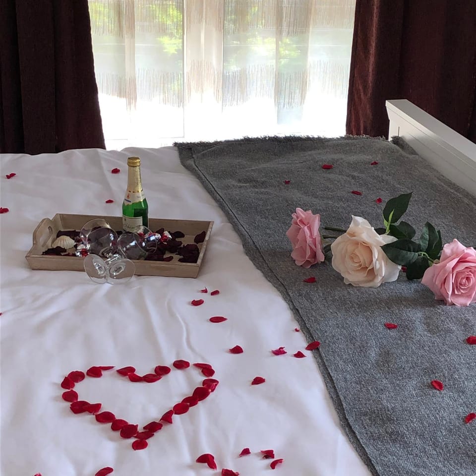 Pensiunea Pont-Euxin Bed and Breakfast in Constanta