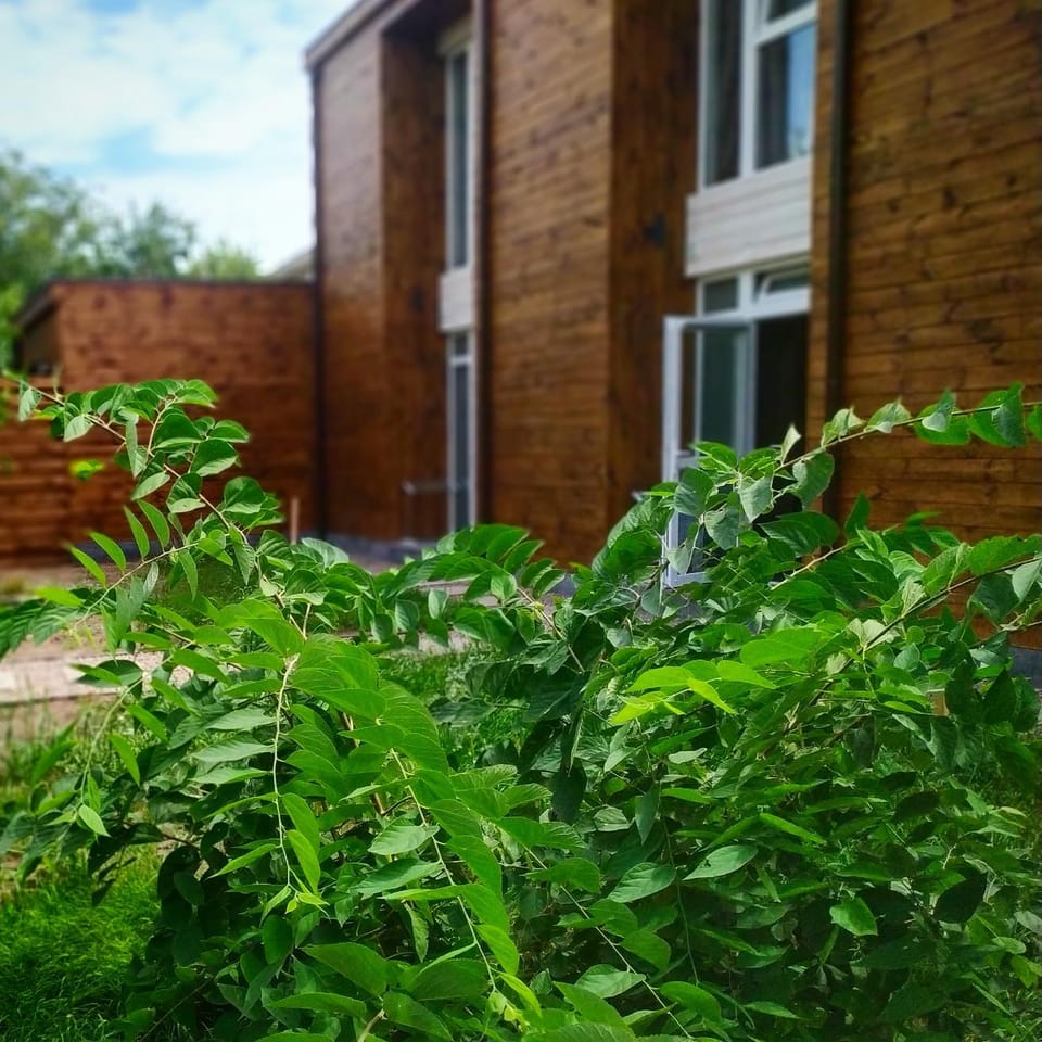 Facade/entrance, Natural landscape, Garden