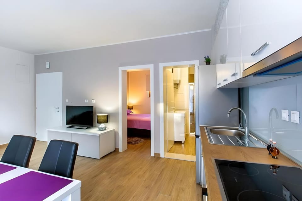 Bed, TV and multimedia, Kitchen or kitchenette, Living room, Photo of the whole room, Seating area, Dining area, Bedroom, stove
