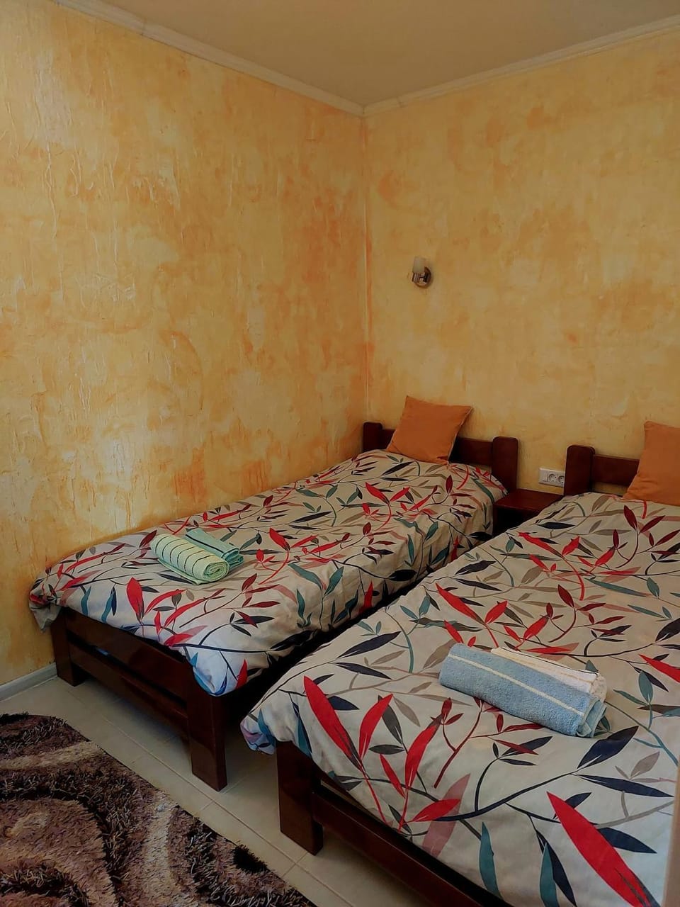 Petrovača Apartment in Montenegro