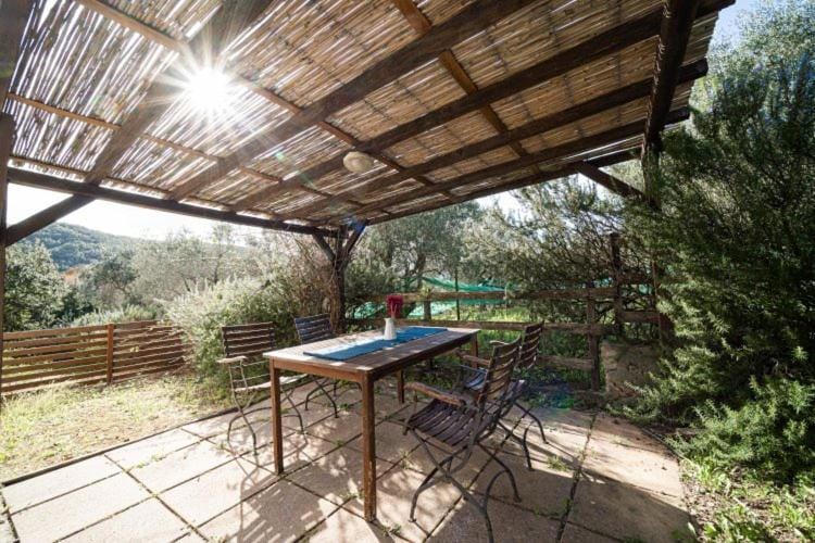 Patio, Balcony/Terrace