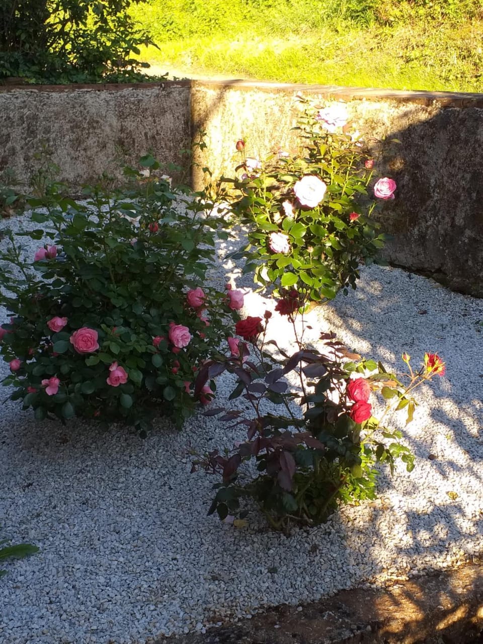 Maison Belvoir Bed and Breakfast in Occitanie