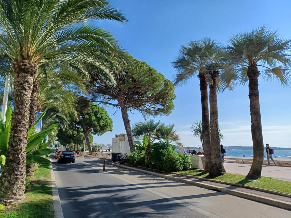 Appartement Cannes à quelques pas de la mer, de la Croisette et du Palais des Festivals Apartment in Cannes