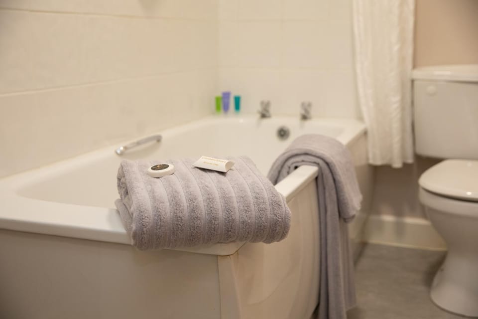 Toilet, Bathroom, Bath, towels