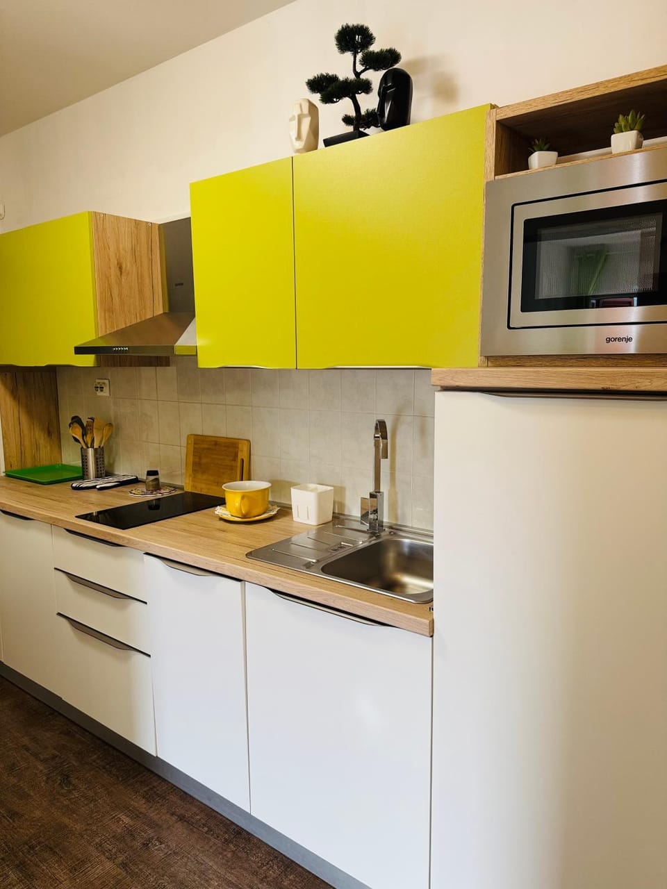 Kitchen or kitchenette, dishwasher, stove