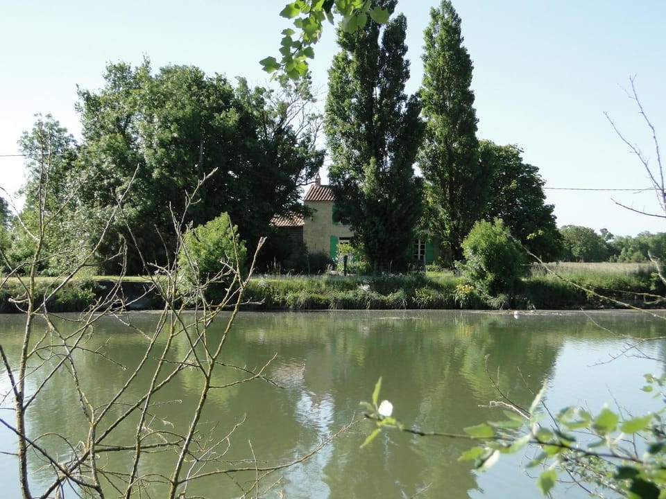 Natural landscape, River view