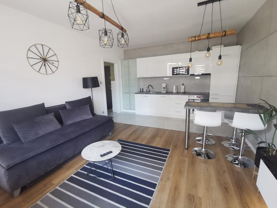 Apartament Platynowy w Centrum Miasta Apartment in Poland