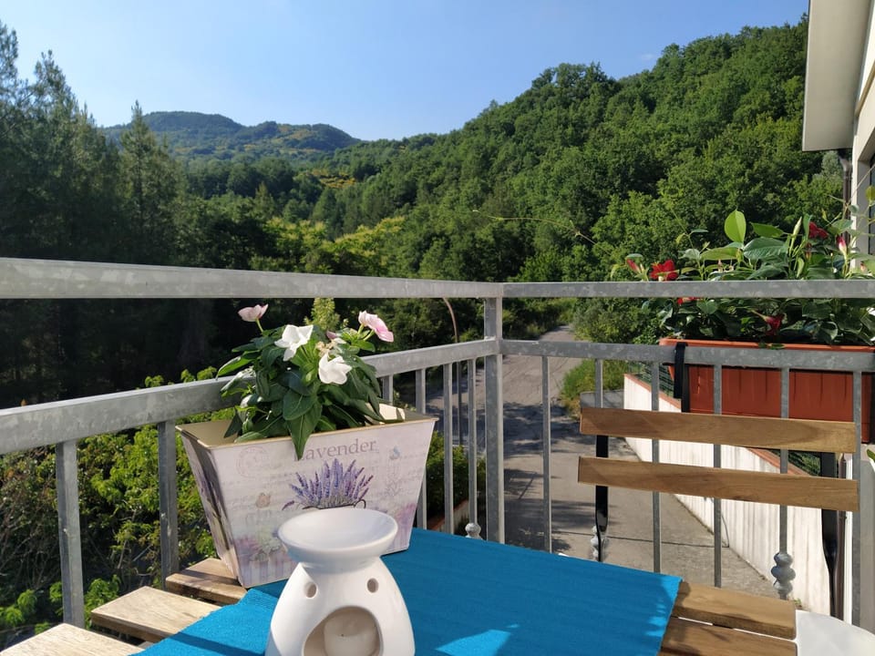 View (from property/room)