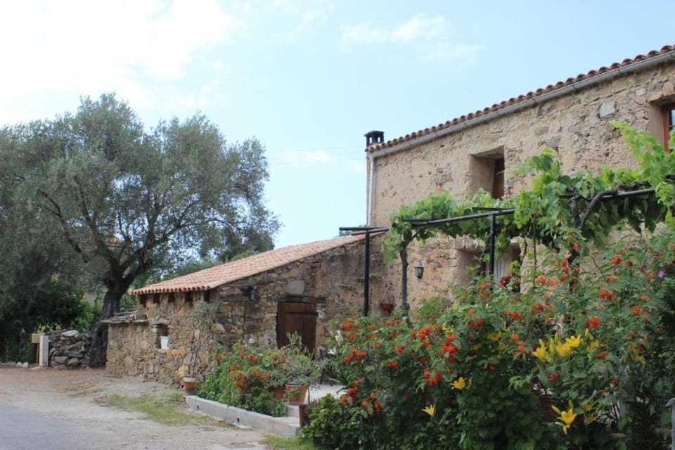 Auberge Pietra Monetta Nature lodge in Palasca