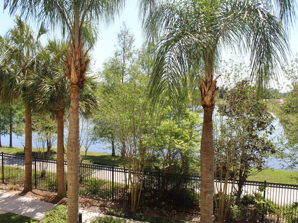 Lake view