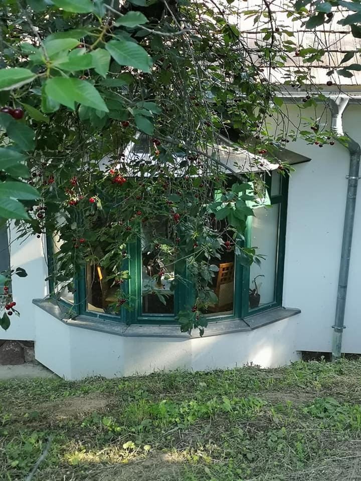 Nyugalomsziget House in Hungary
