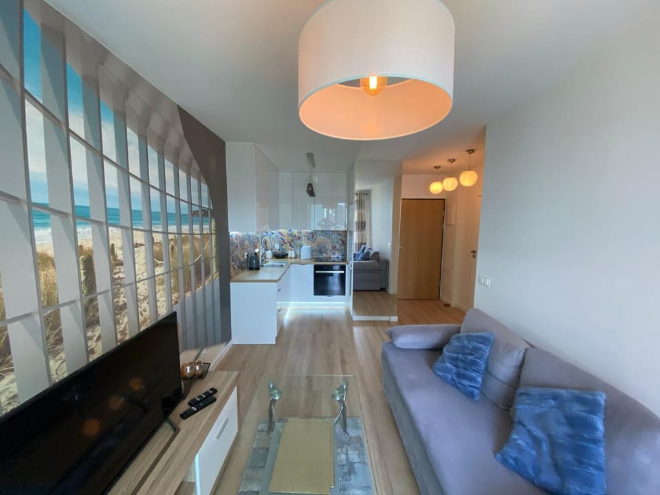 TV and multimedia, Kitchen or kitchenette, Living room, Seating area, oven