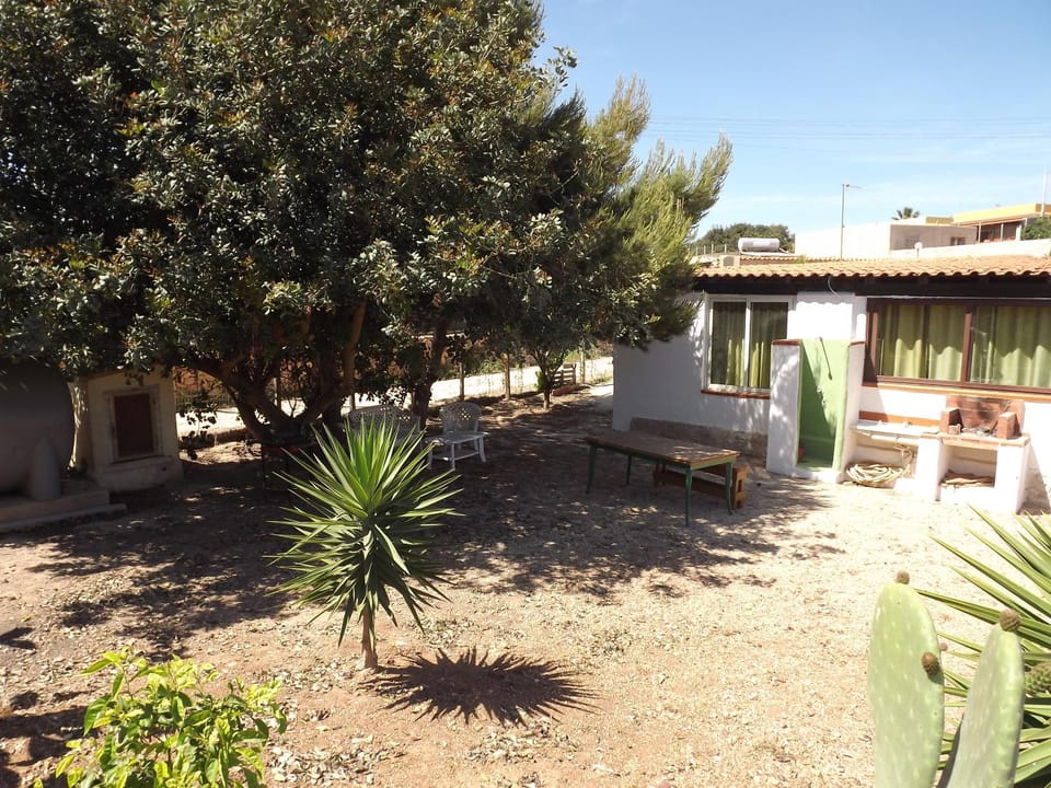 Patio, Garden