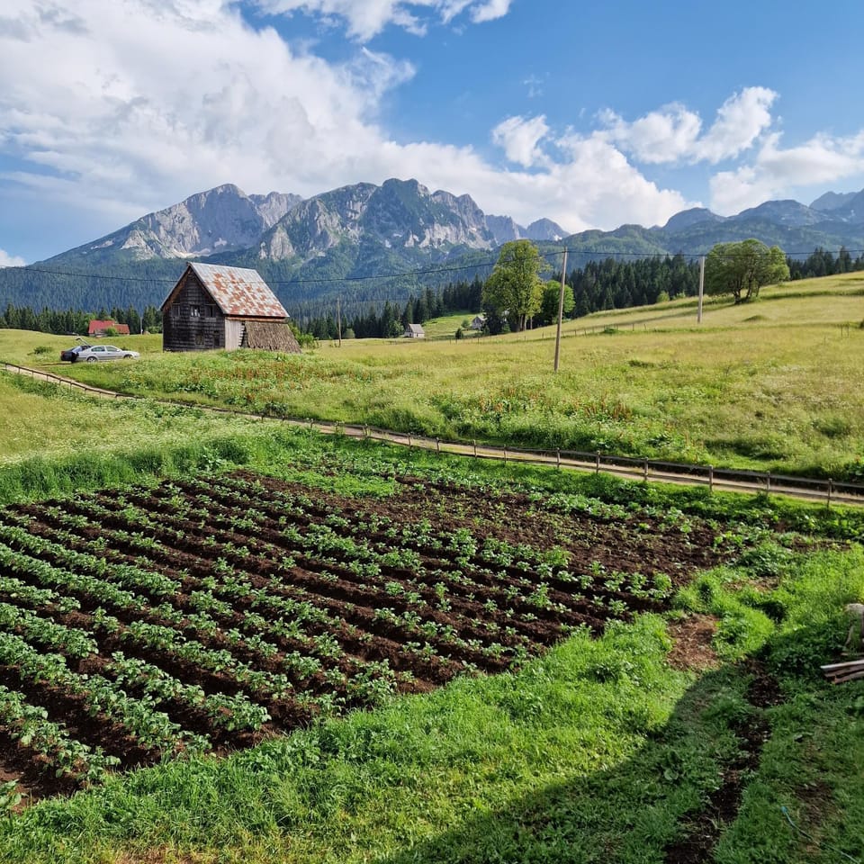 View (from property/room)