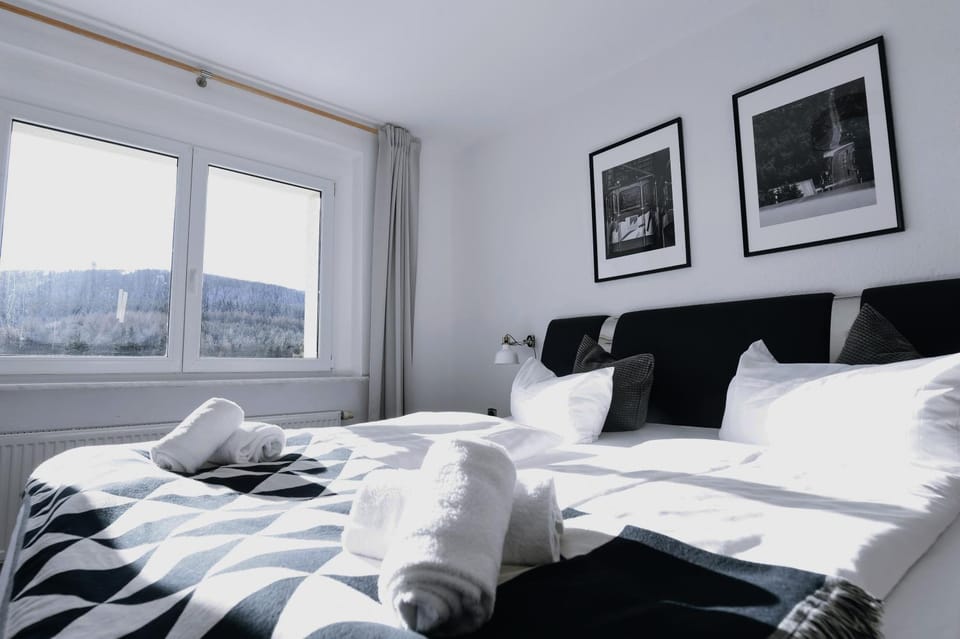 Oberwiesenthal Apartments Apartment in Erzgebirgskreis